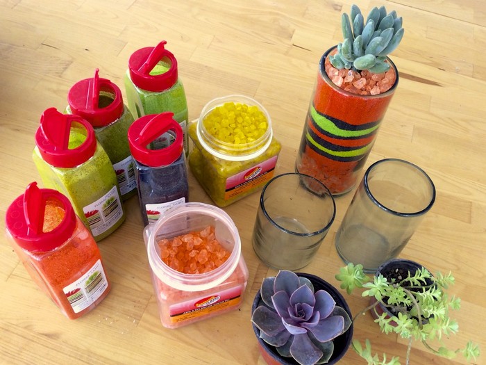 How to make a Desktop Succulent Garden 12